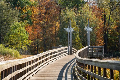 A rustic wooden bridge crosses a serene river, framed by colorful autumn leaves, showcasing the charm of fall.