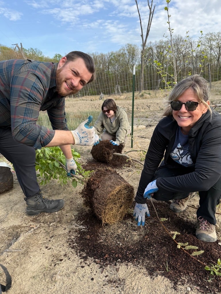 Image-40.jpg Image-40.jpg