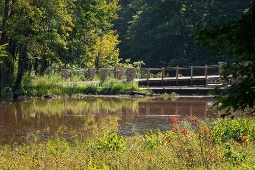 A serene bridge spans a tranquil pond, surrounded by lush greenery in a peaceful wooded setting.