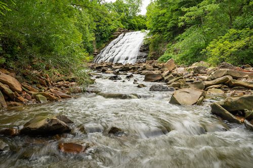 A serene waterfall cascades through a lush forest, surrounded by rocks and towering trees, creating a tranquil natural scene.