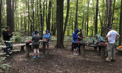 people scattered in a forest