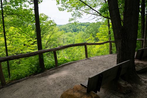 A picturesque bench offering a view of the verdant woods and trees, ideal for relaxation and appreciating the beauty of nature.