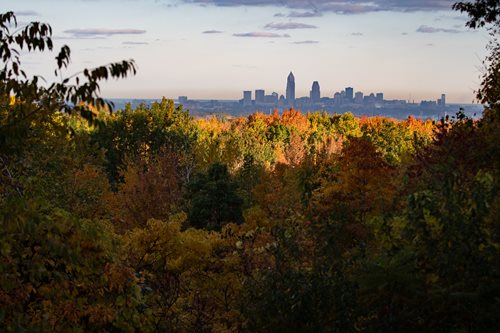 The Cleveland skyline is visible through a lush canopy of trees, showcasing a blend of nature and urban architecture.