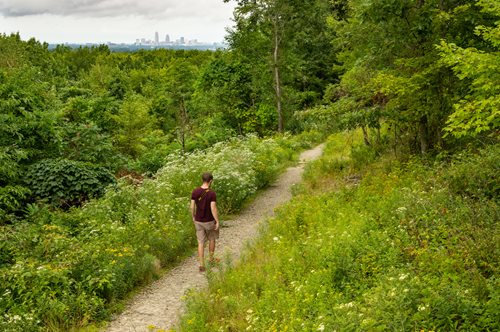 A man walking down a path in the forest with a city in the distance 