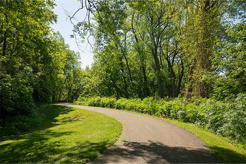 A serene paved path meanders through lush greenery, flanked by trees and grass, inviting a peaceful stroll.