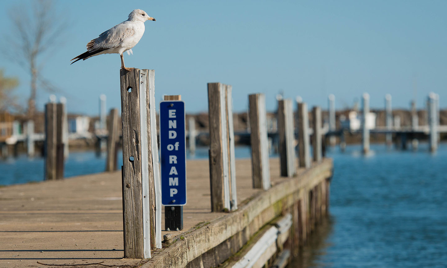 Wildwood Marina and Concessions