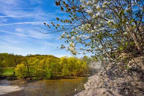 A tree adorned with flowers stands precariously on the side of a cliff, highlighting nature's resilience and beauty.