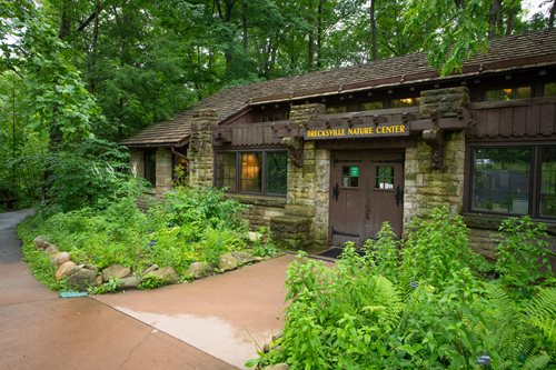 The museum entrance framed by lush trees, creating a serene and inviting atmosphere for visitors.