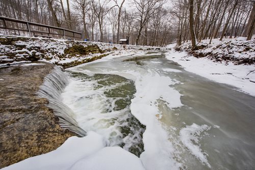 A serene stream flows through a snow-covered wooded area, surrounded by tall trees and a peaceful winter landscape.