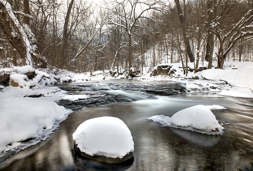 A tranquil stream meanders through a snowy forest, with fresh snow covering the ground and trees in a peaceful winter setting.