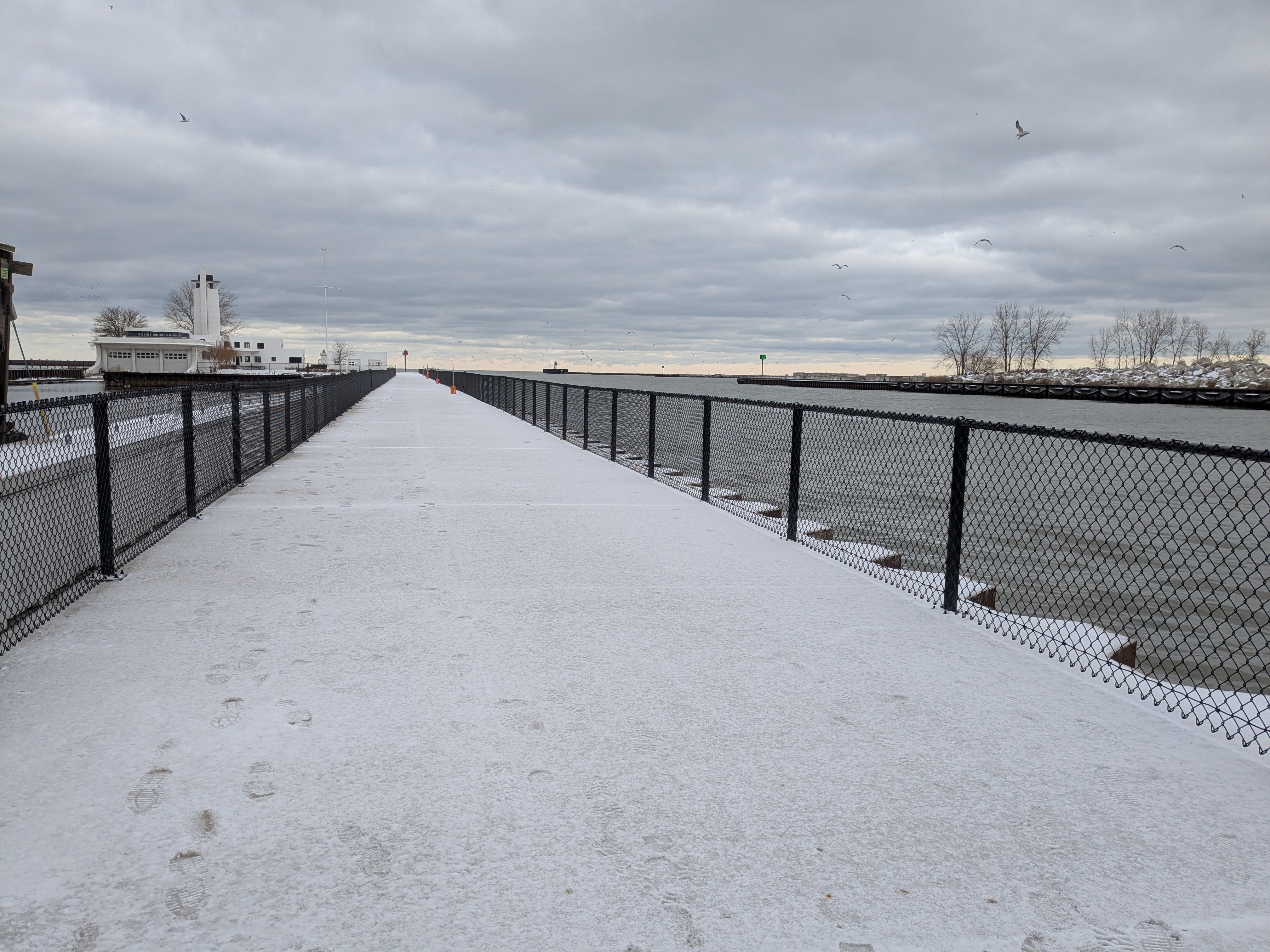 PXL_20251201_145624580.jpg PXL_20251201_145624580.jpg