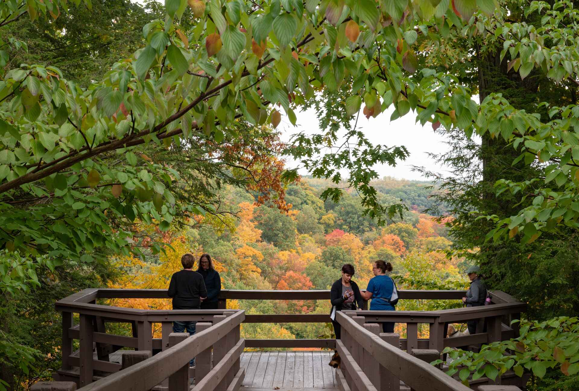 people are standing on a bridge looking at the trees, a stock photo inspired by Henry Carr, shutterstock contest winner, heidelberg school, fall foliage, autumn foliage in the foreground, fall vibrancy