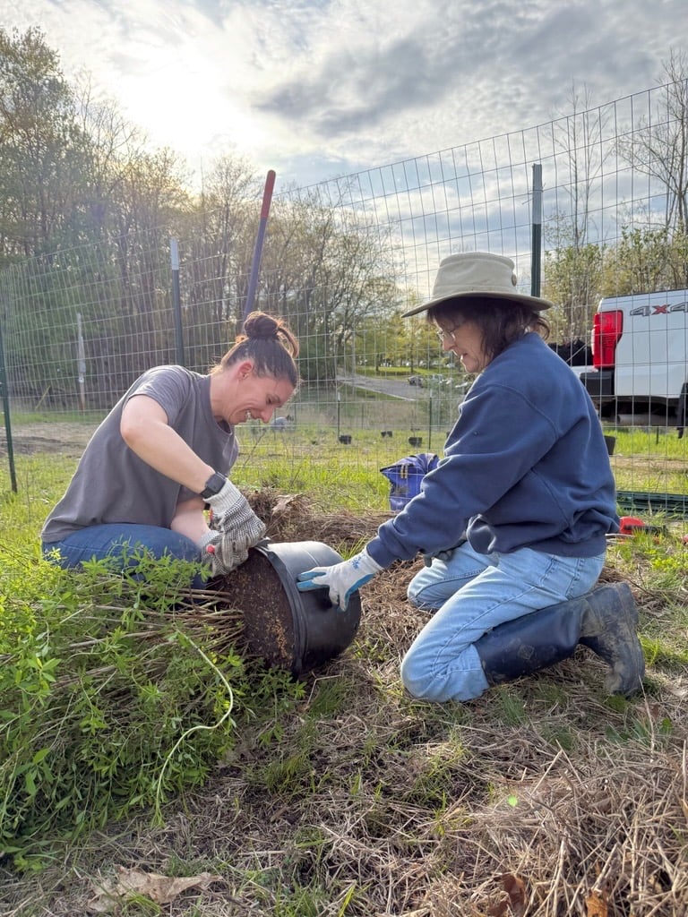 Image-47.jpg Image-47.jpg