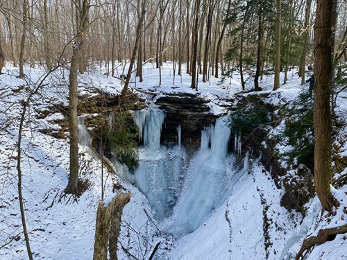 arafed waterfall in the woods with snow and ice on the ground, a jigsaw puzzle inspired by J. Alden Weir, trending on pinterest, regionalism, frozen waterfall, william penn state forest, beautiful winter area