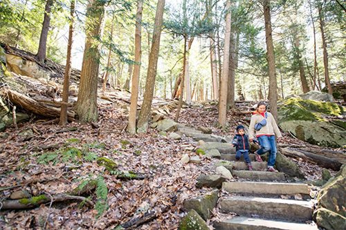 A woman and her child walk up wooden stairs, enveloped by trees and nature in a peaceful forest environment.