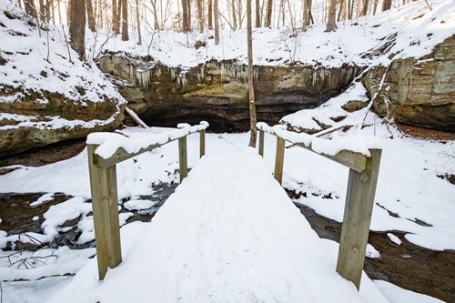 A charming bridge arches over a flowing stream, framed by dense woods, creating a serene natural landscape.