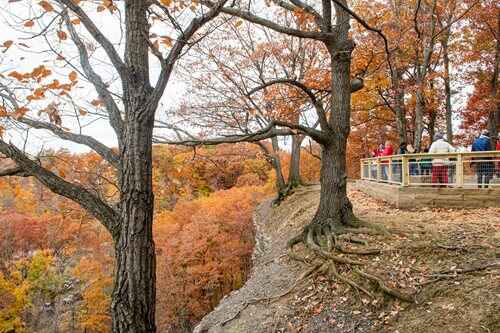 A serene paved path winding through a lush wooded area, surrounded by tall trees and dappled sunlight.