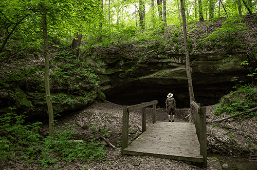  person is positioned on a wooden bridge, immersed in the natural surroundings, conveying a sense of peace and solitude.