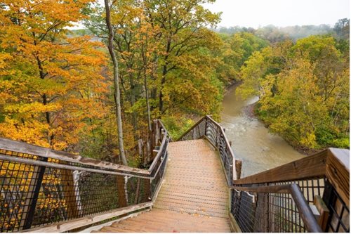 a view of a bridge over a river with trees in the background, a stock photo inspired by Henry Carr, shutterstock contest winner, regionalism, bentonville arkansas, 400 steps, ravine