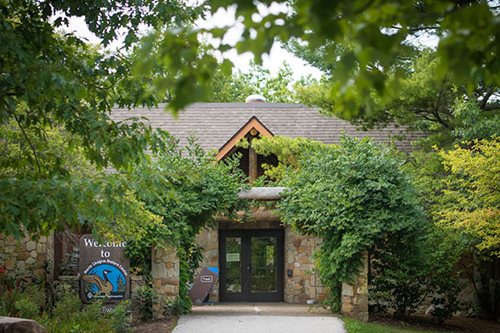 The museum entrance framed by lush trees, creating a serene and inviting atmosphere for visitors.