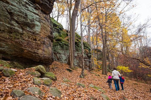 A family enjoys a walk on a forest trail, immersed in the beauty of the woods.