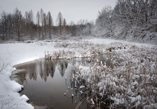 A winter landscape featuring a river surrounded by snow, with reeds and grass peeking through the icy terrain.