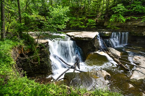 rushing waterfall with lots of rocks, sticks and greenery 