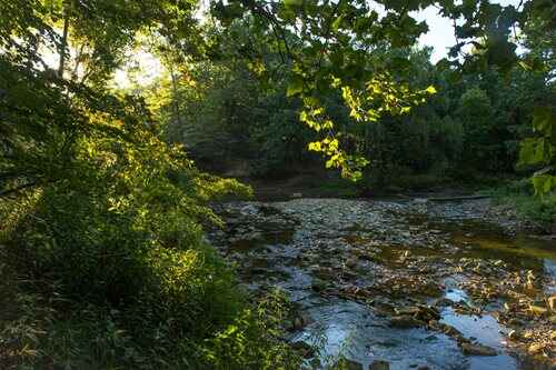 A tranquil river meanders through a forested landscape, bordered by trees and grassy patches.