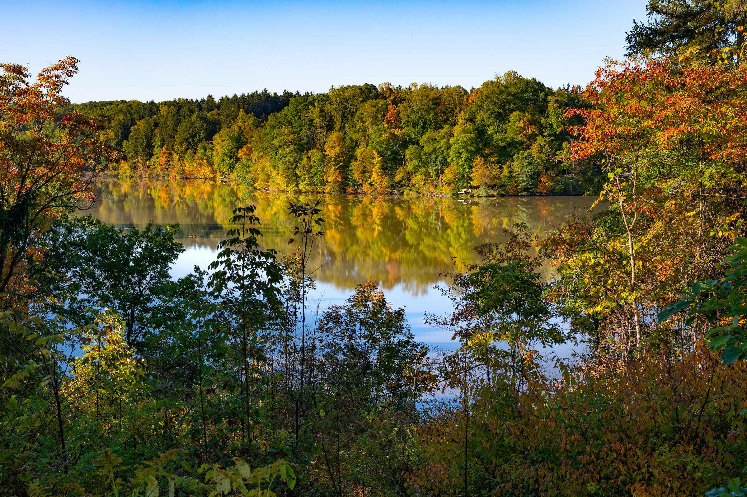 A serene lake encircled by lush trees and vibrant foliage, reflecting the beauty of nature in a tranquil setting.