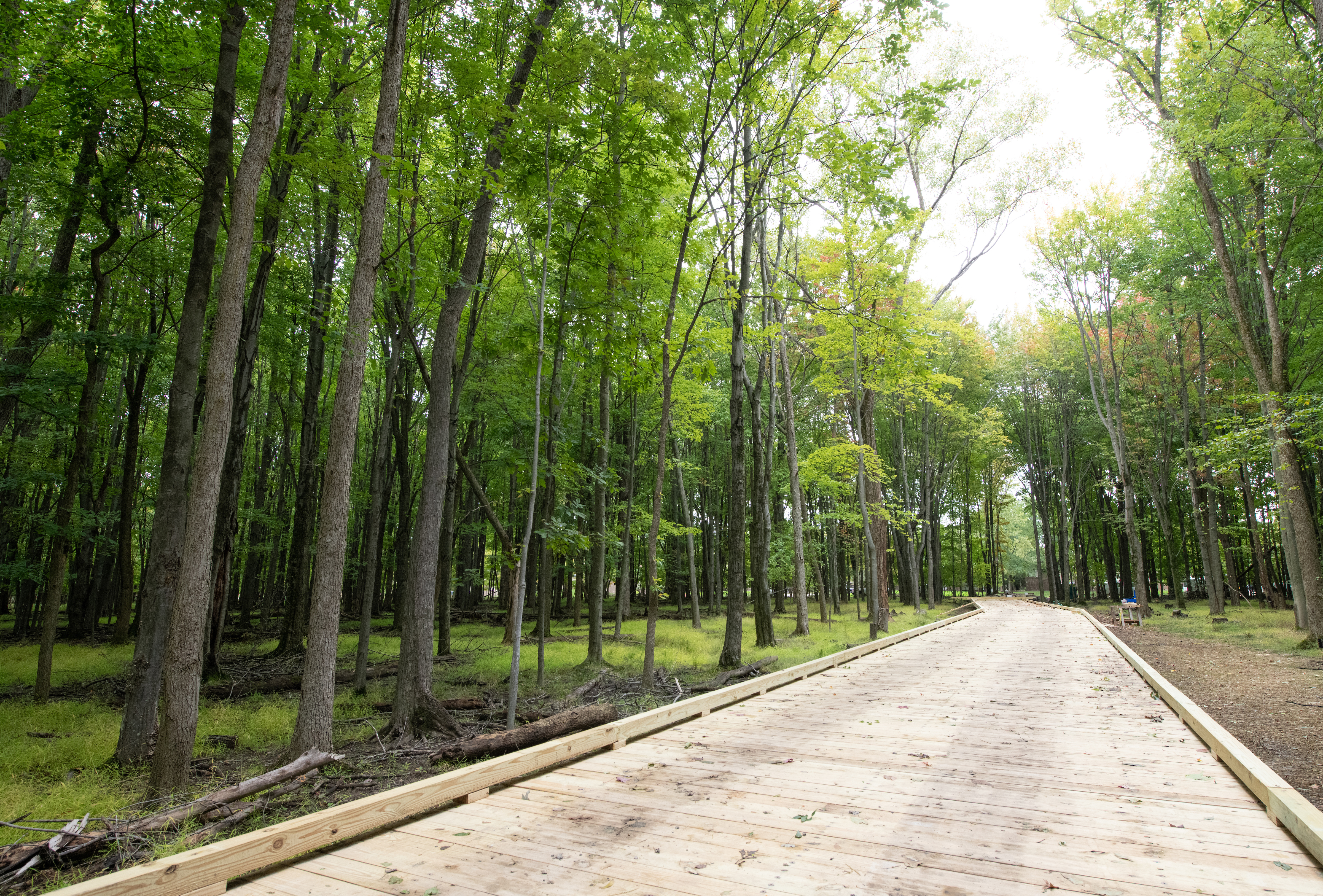 Eastern-Ledge_Boardwalk.jpg