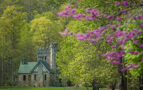 A majestic stone castle nestled among lush trees and vibrant flowers, showcasing a picturesque natural landscape.