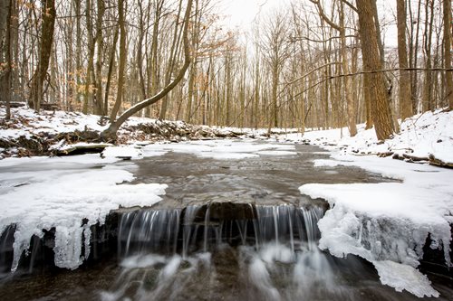 arafed stream in a snowy forest with ice and snow on the ground, a tilt shift photo by Mike Bierek, instagram contest winner, environmental art, william penn state forest, babbling brook, frozen waterfall