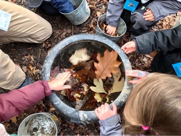 making a leaf soup