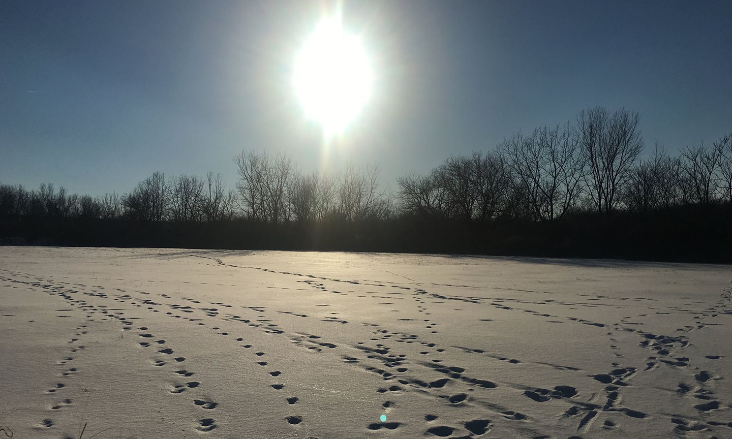 First Hike of Winter thumbnail image