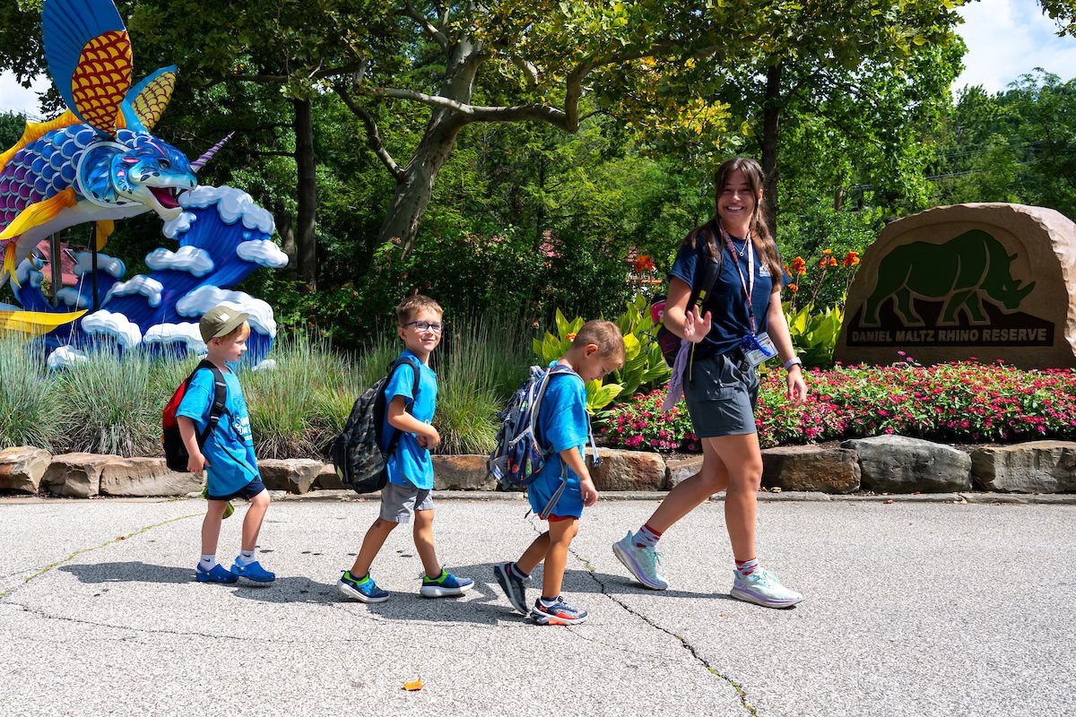 Zoo Summer Day Camp