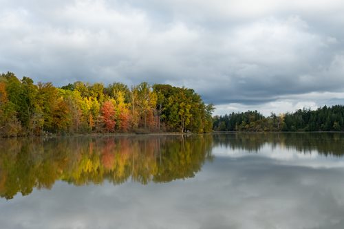 a lake reflecting trees in the fall time and grey skies 