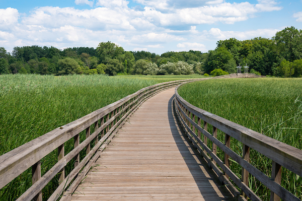 CONSERVE_03.jpg CONSERVE_03.jpg