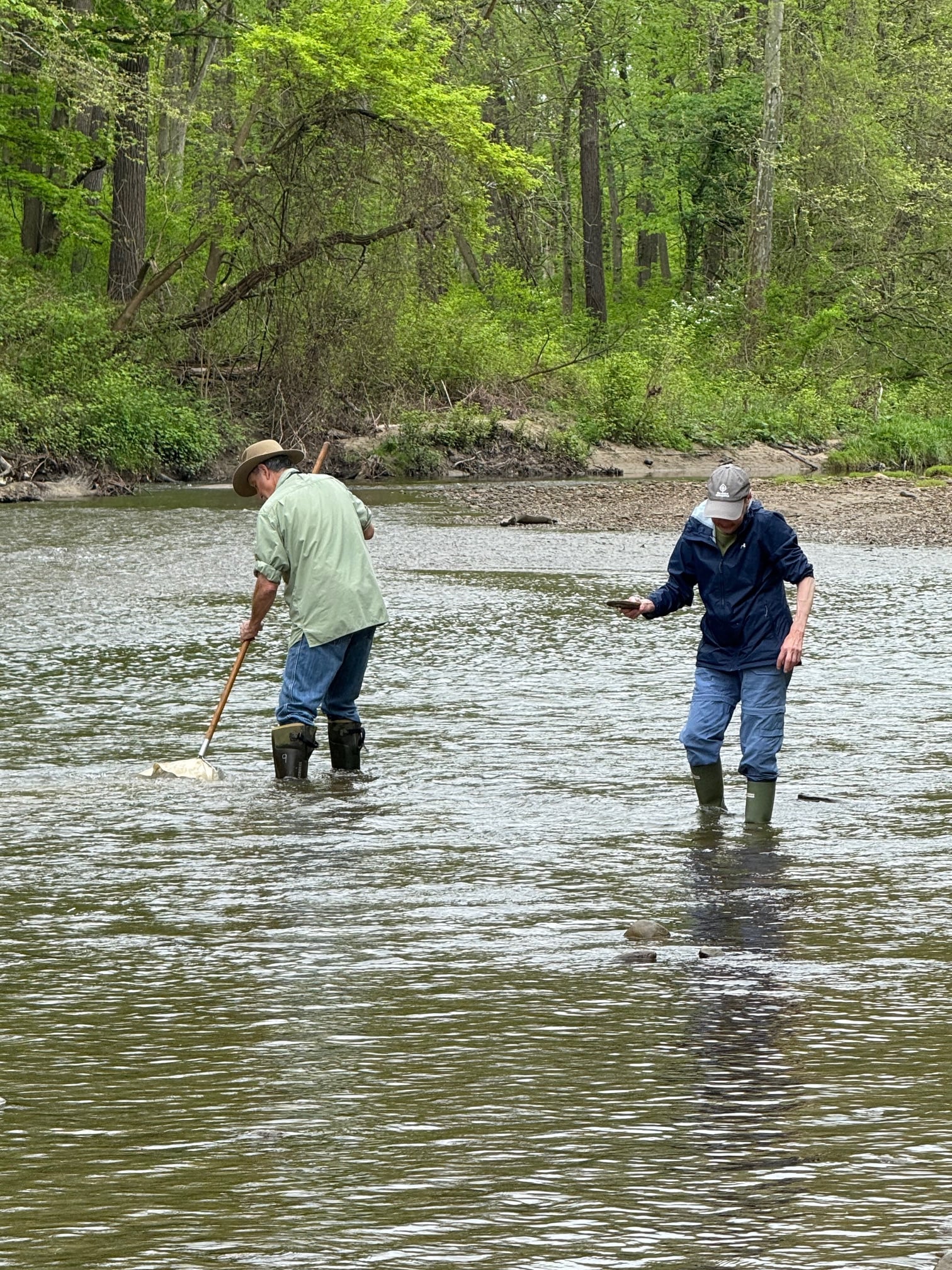 IMG_4923-1.jpg IMG_4923-1.jpg