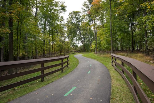 A serene paved bike path winding through lush green grass and trees in a tranquil wooded area.