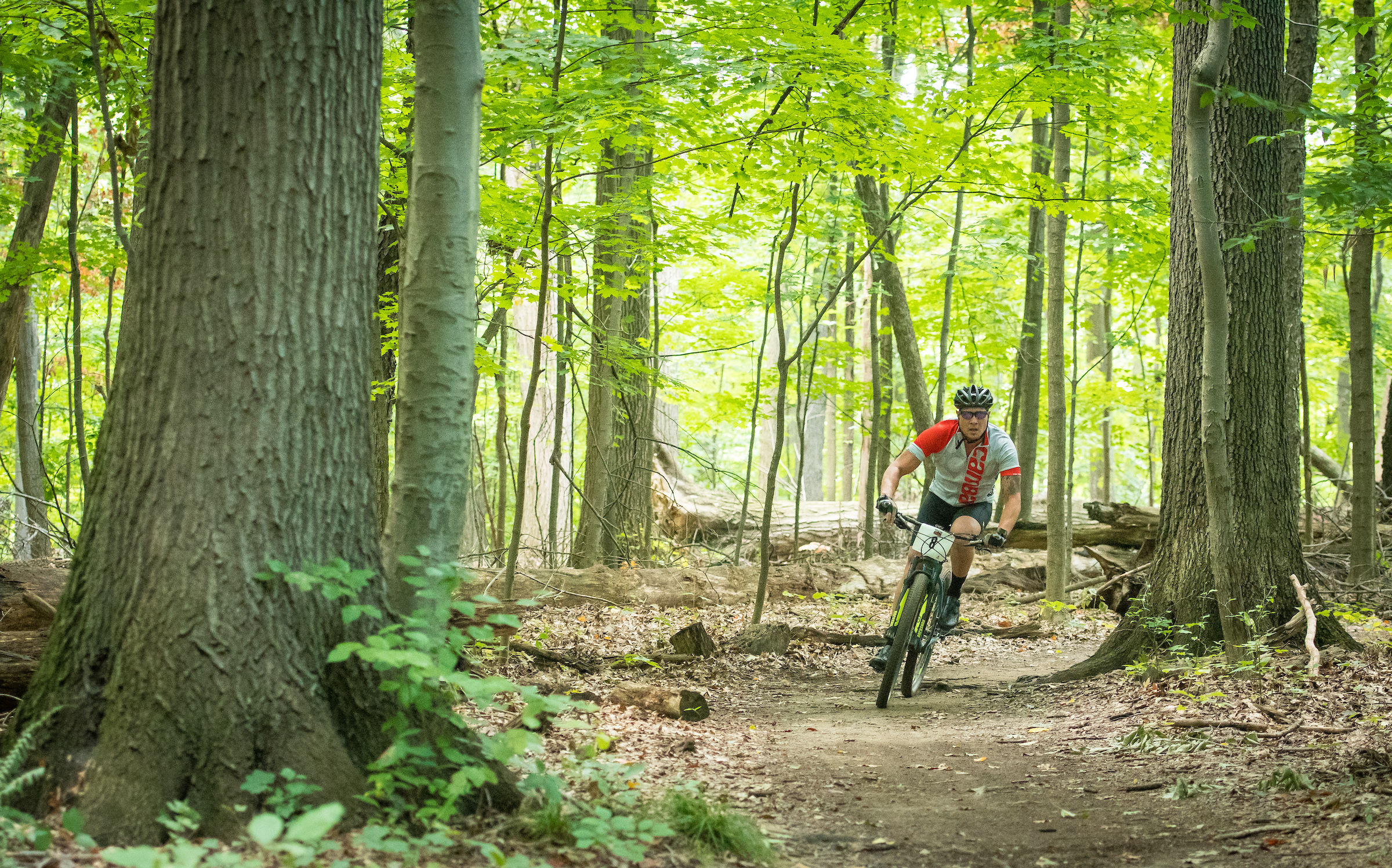 A man skillfully navigates a mountain bike along a wooded trail, surrounded by lush greenery and tall trees.