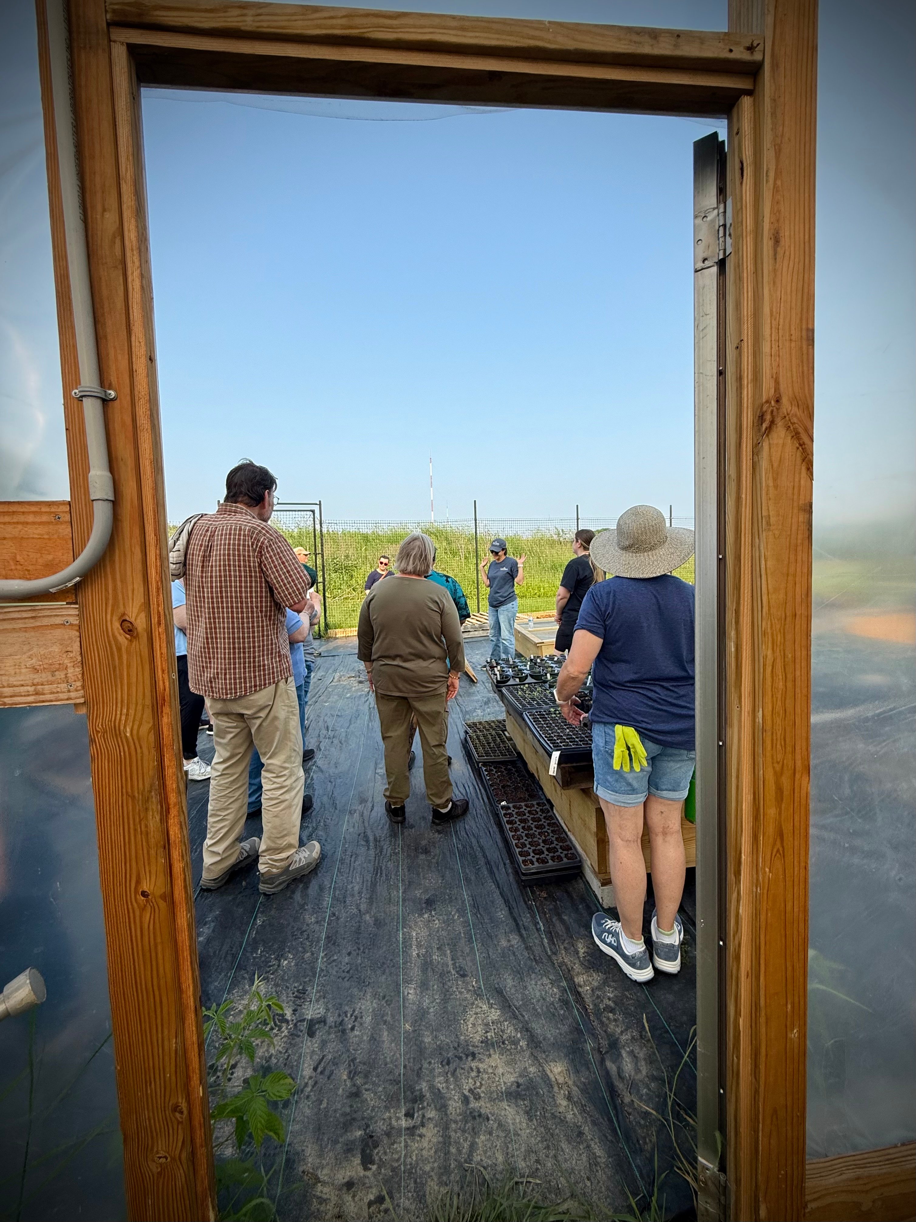 IMG_5730-1.jpg IMG_5730-1.jpg