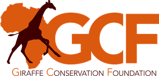 Giraffe-Conservation-Foundation.png