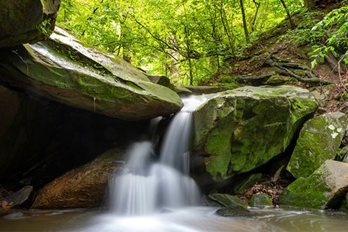 A serene waterfall cascades over rocks, surrounded by lush green trees in a tranquil forest setting.