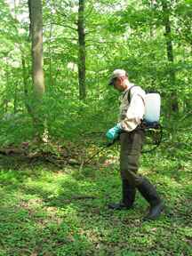 InvasivePlant Herbicide Spraying