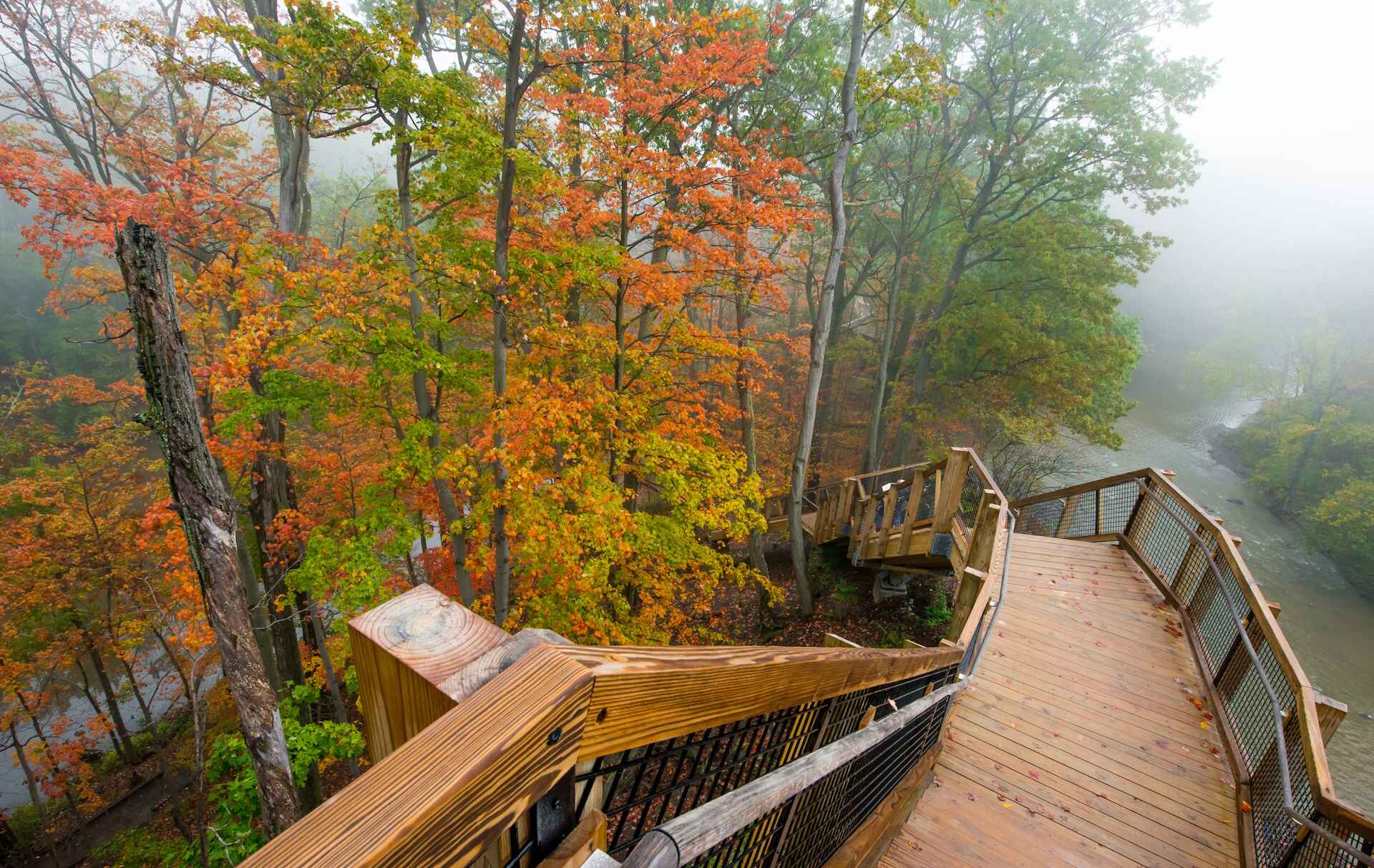 A wooden walkway extends into a foggy forest, creating a serene and mysterious atmosphere.