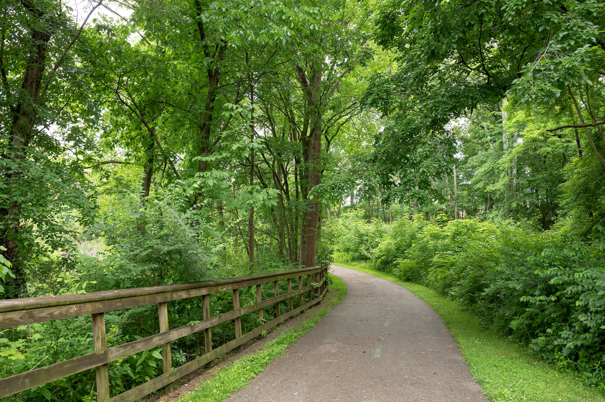 A picturesque paved trail cutting through a wooded landscape, with towering trees providing shade and a peaceful atmosphere.