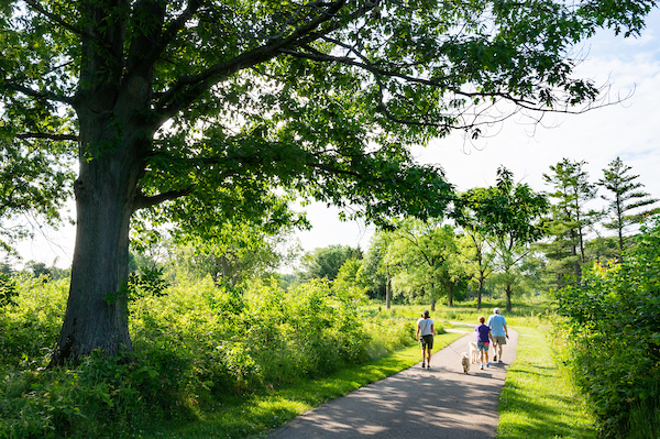 LAN_8573-2.jpg LAN_8573-2.jpg