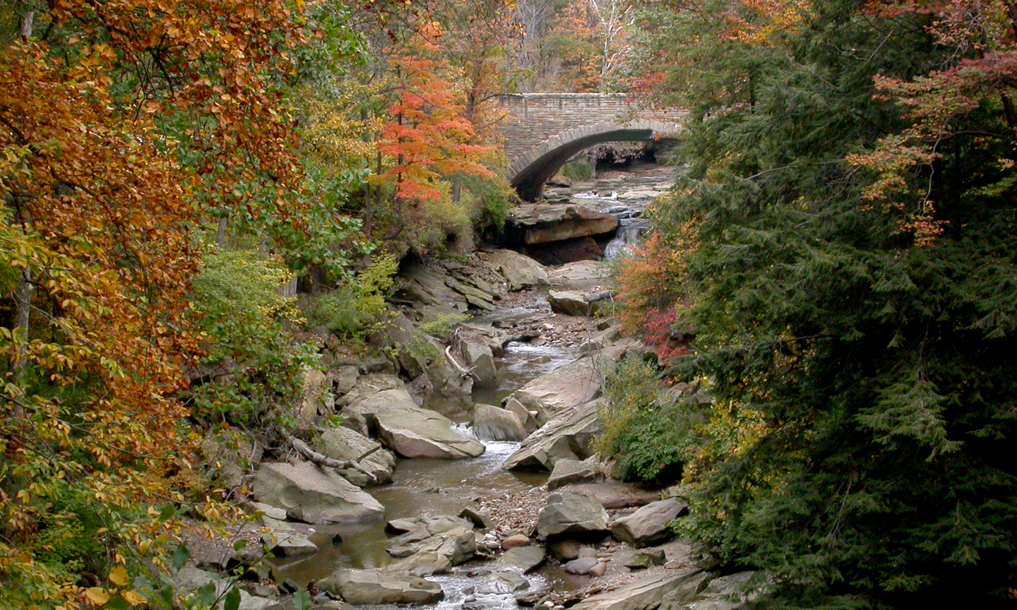 Chippewa Creek Gorge Trailhead