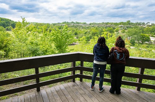 Two figures on a wooden deck admire the expansive view of a dense, green forest in the background.