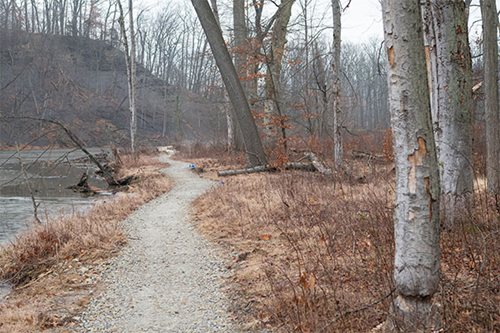 A serene trail winding through a lush wooded area alongside a gently flowing river.